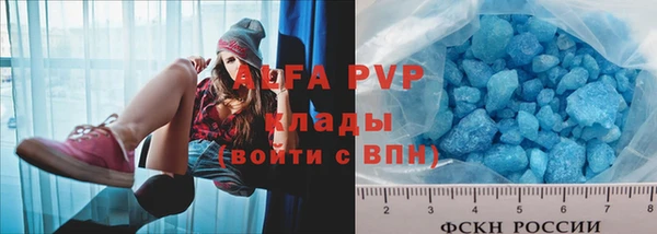 альфа пвп Новодвинск