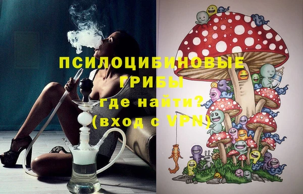 марихуана Новозыбков