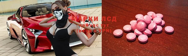 альфа пвп Новодвинск