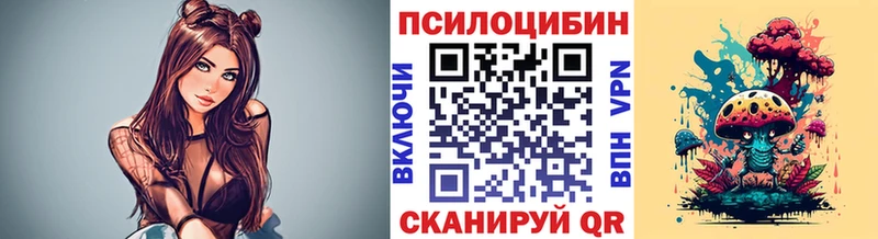 где найти   Нижняя Салда  Псилоцибиновые грибы Psilocybine cubensis 